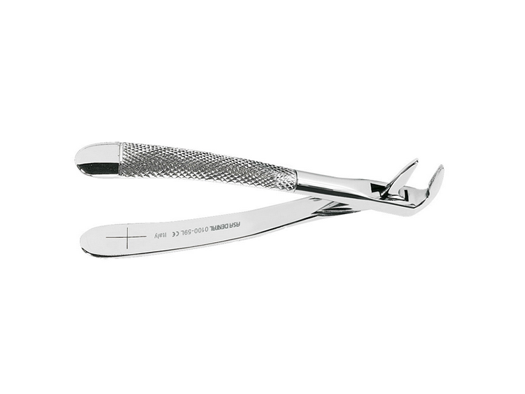 Root and Lower Incisor Button (0100-59L)