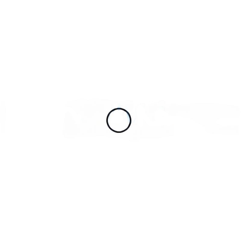 O-ring for spray cap of Bien Air Bora turbine (original)