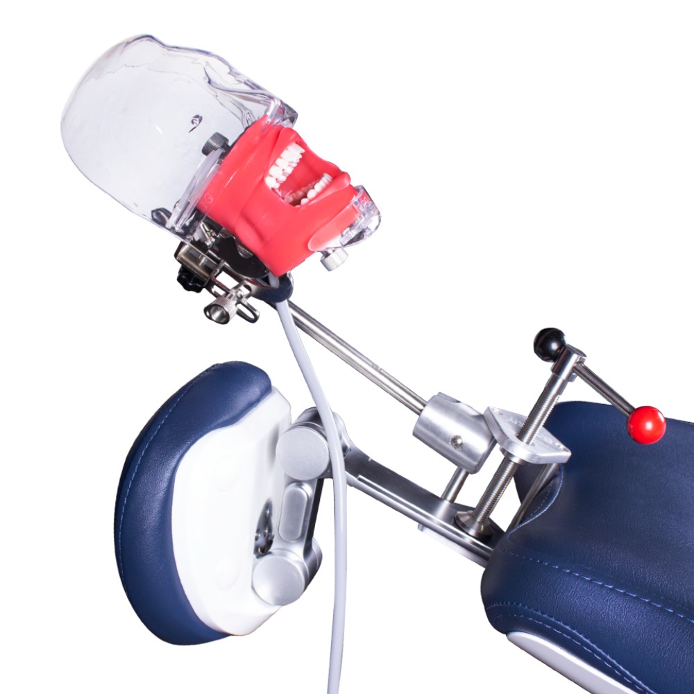 Simplicity Bader Complete Phantom with Chair Anchor