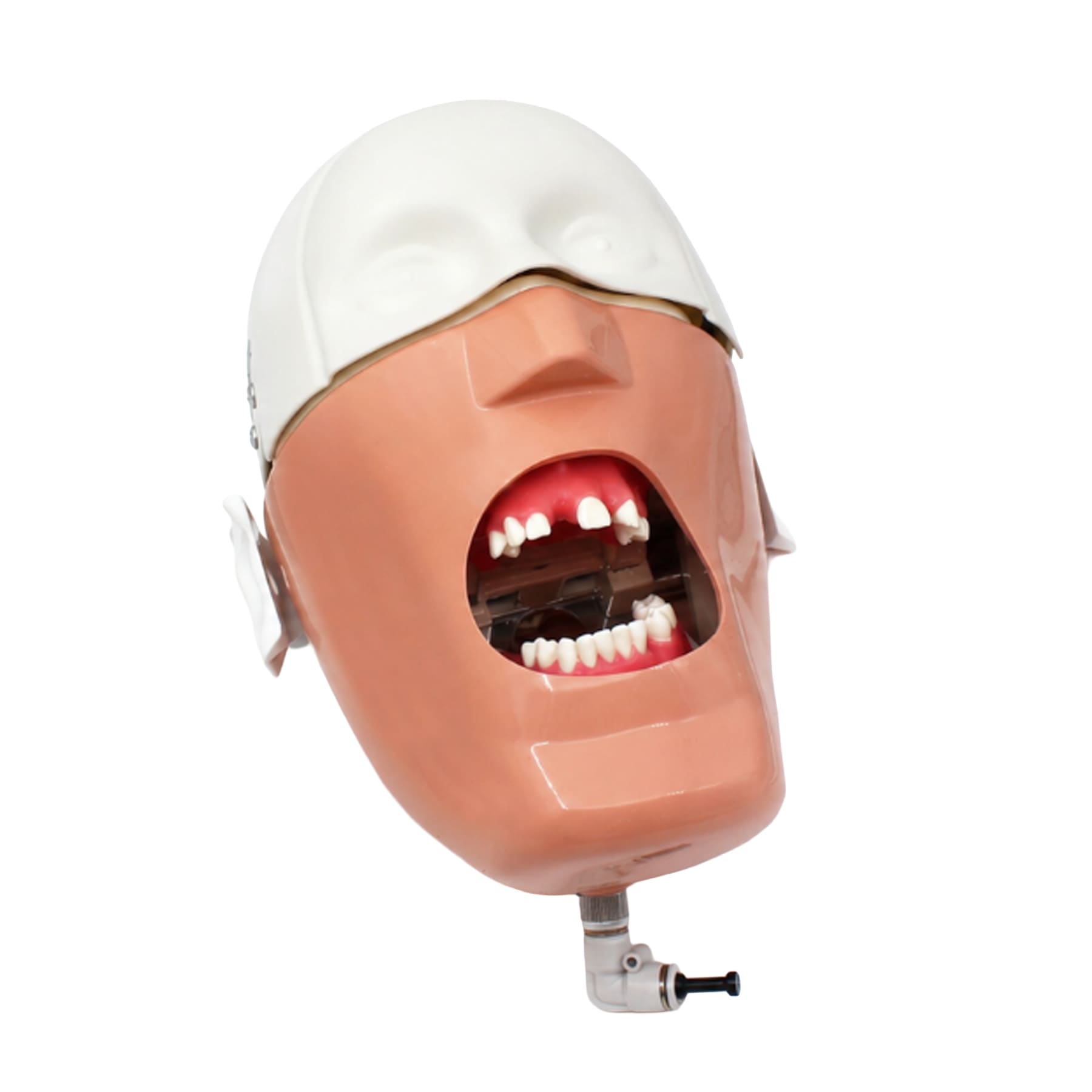 Kim Phantom for Bone Regeneration Practice