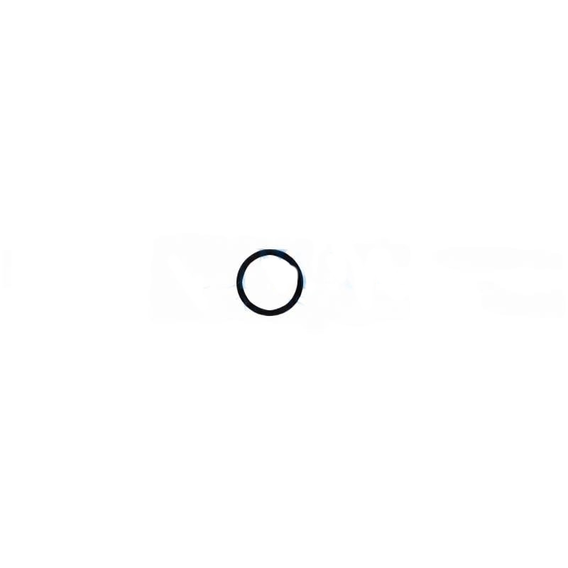 O-ring for Bien Air Prestige rotors (large)