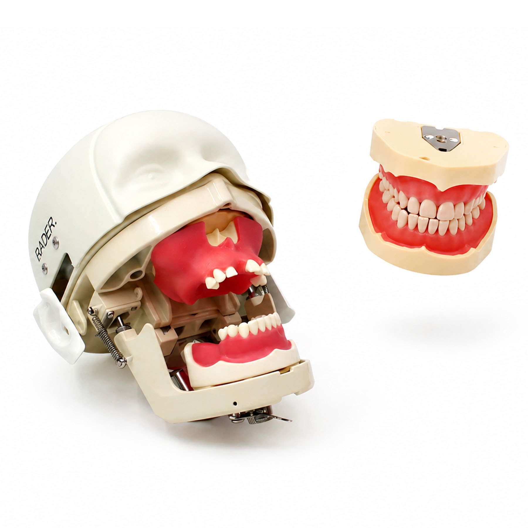 Kim Phantom for Bone Regeneration Practice