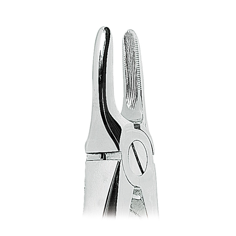 Lower Root Button (0100-33L)