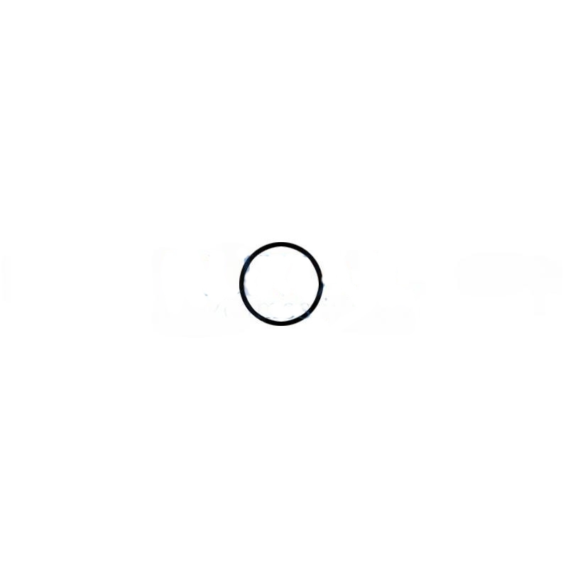 O-ring for INTRA system micromotors