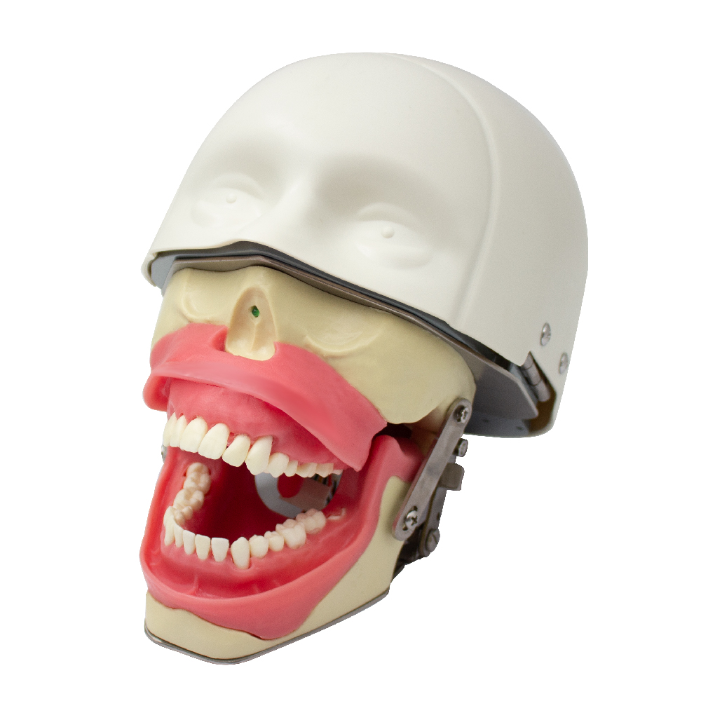 Dental Anesthesia Simulator Bader