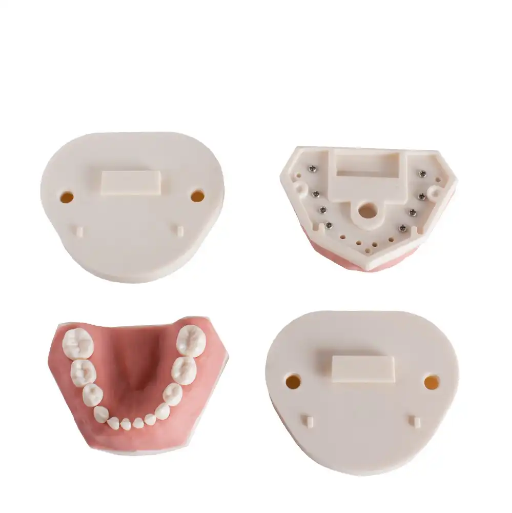 Child typodont AK6 Bader with base plate