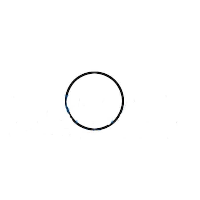 Toroidal ring for spray cap turbine KaVo 630/640/645, MK-dent all models except Prime Line – SP0442K