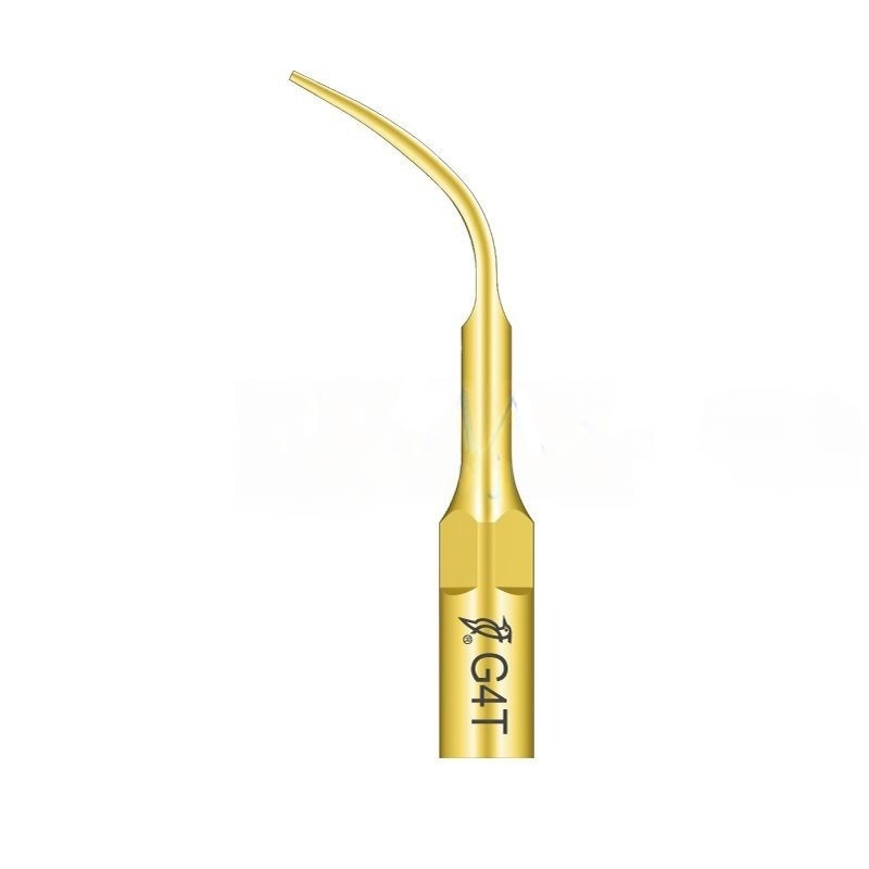 Woodpecker G4T ultrasonic tip compatible with EMS | Prophylaxis Titanium Treatment