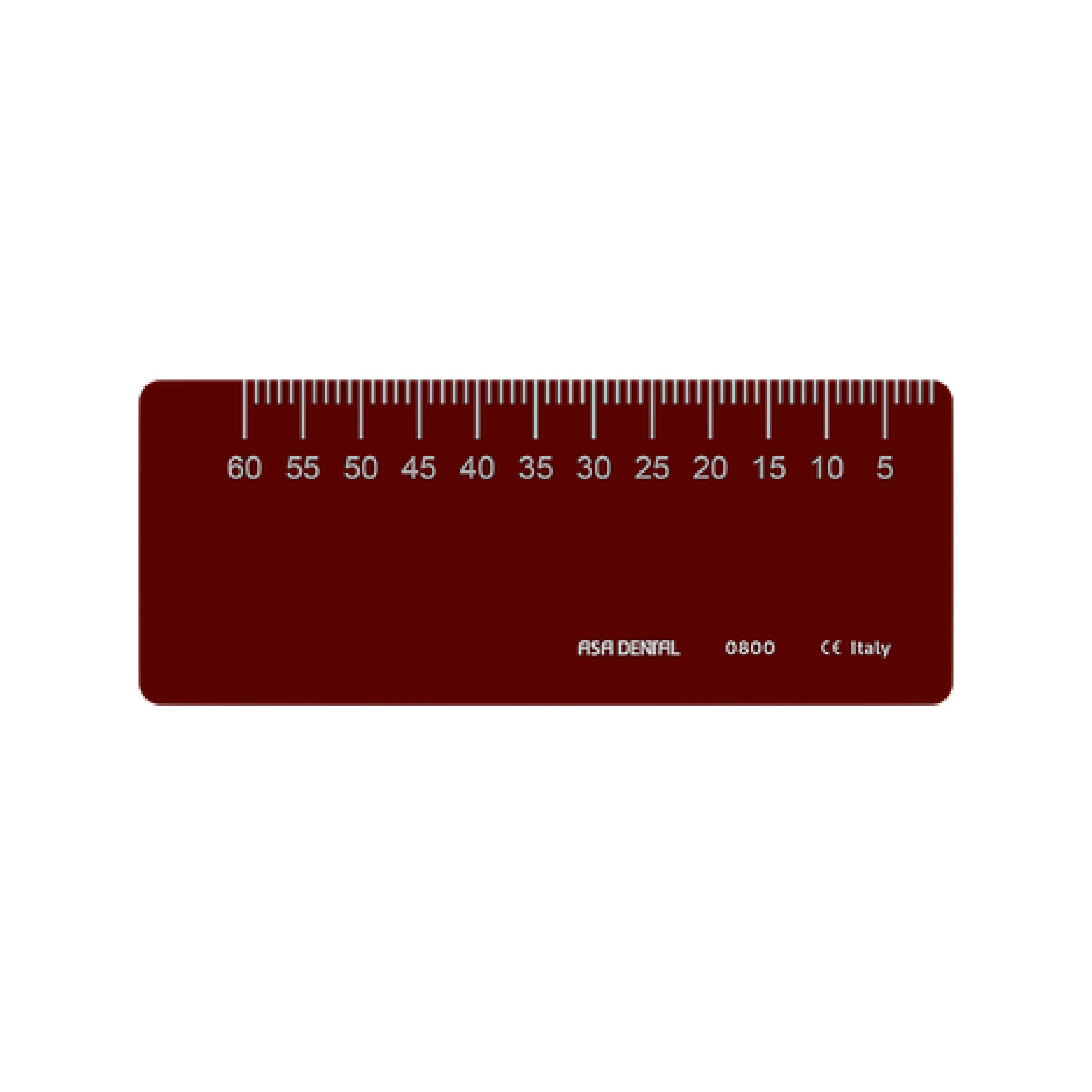 Endodontic Ruler 0800