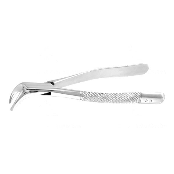 Lower Premolar Button – Curved (0100-13)