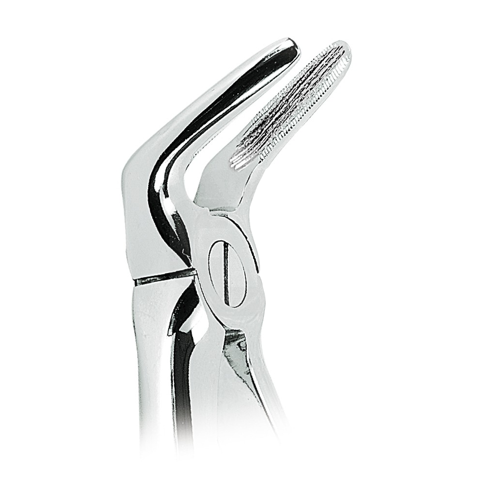 Lower root button (0100-59)