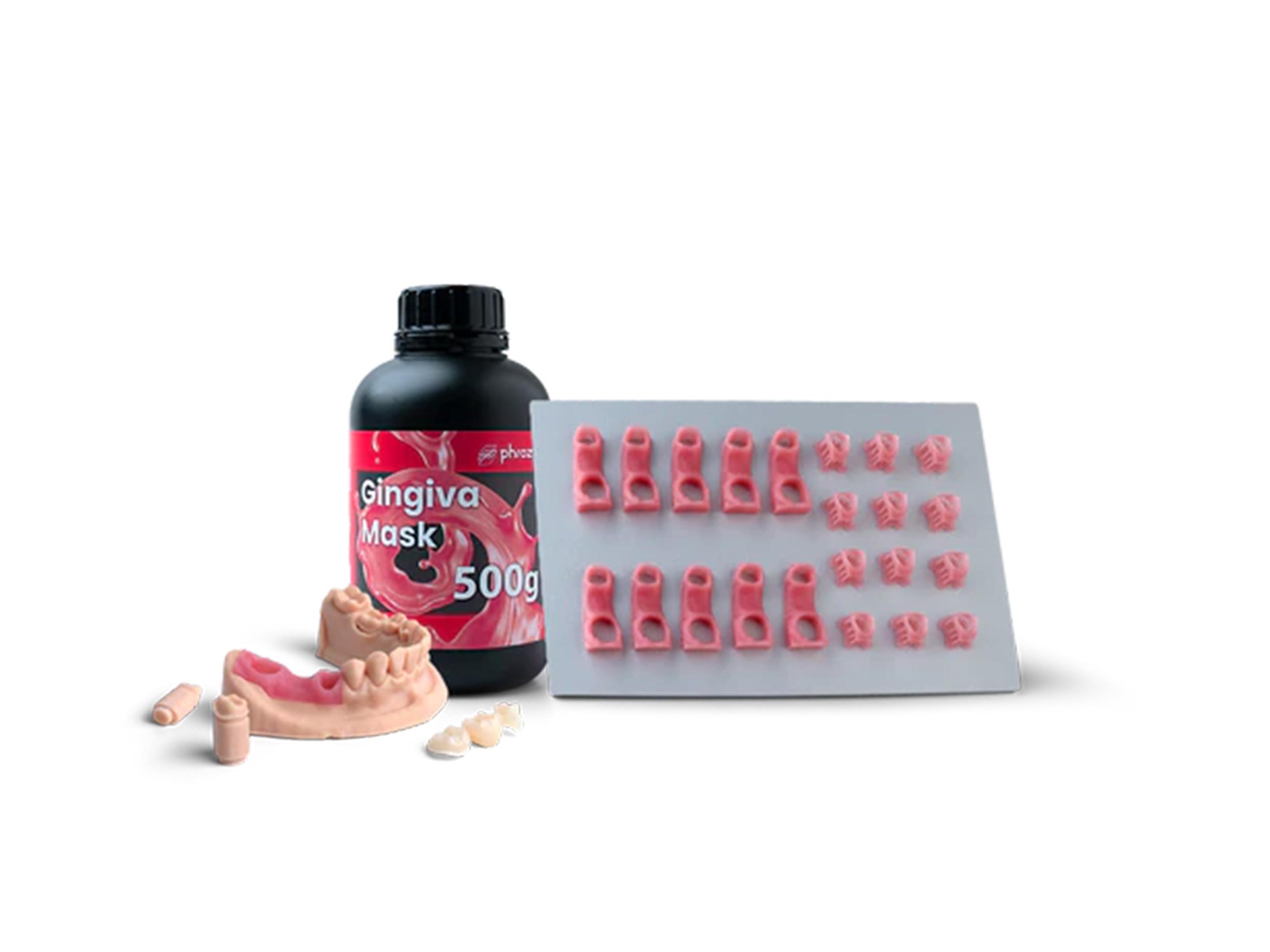 GUM/GINGIVA RESIN 500 GR - PHROZEN