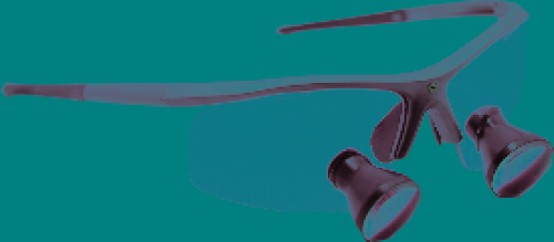 SLT TTL loupes, sports frame