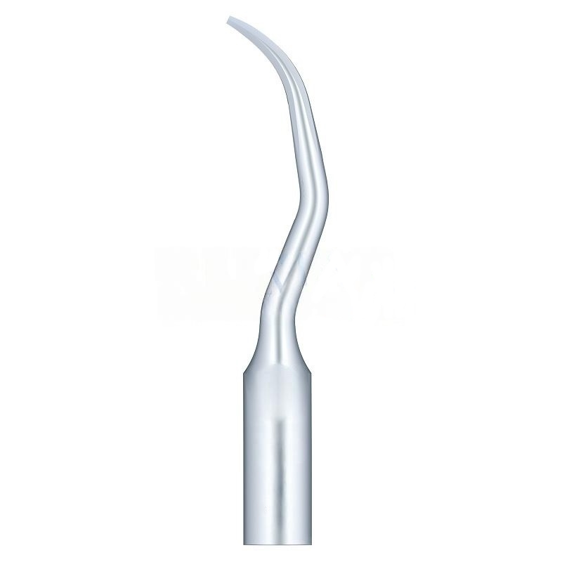 Woodpecker G10 Ultrasonic Tip Compatible EMS | Prophylaxis