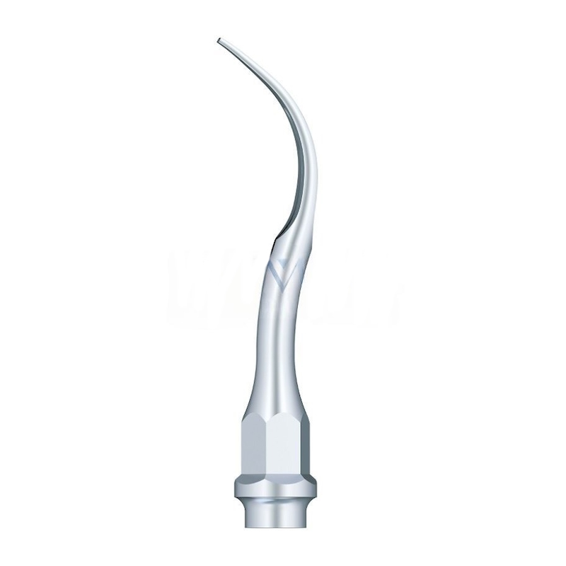 Ultrasonic tip Woodpecker GC2 compatible KaVo | Prophylaxis
