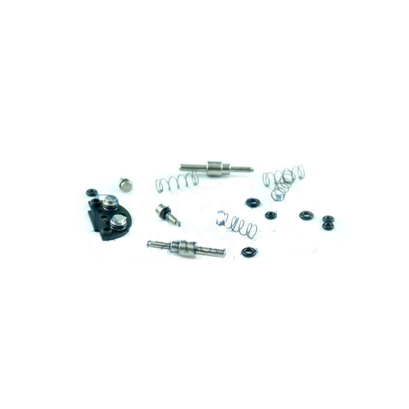Complete Luzzani Minibright syringe repair kit