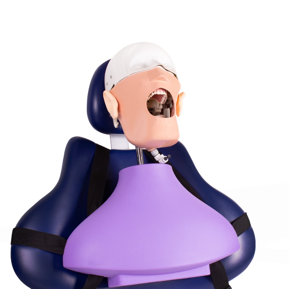 Dental Phantom Bader Complete Manikin