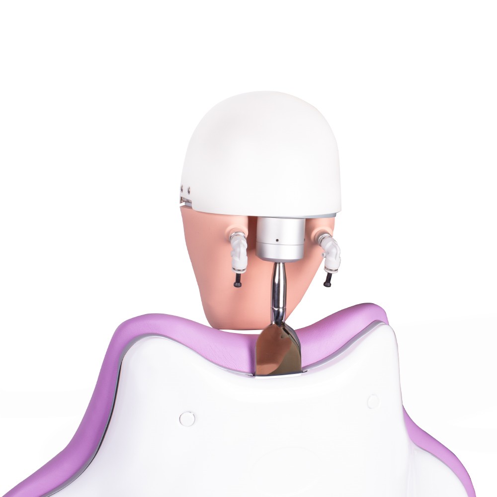 Complete Bader Dental Phantom with Chair Anchoring
