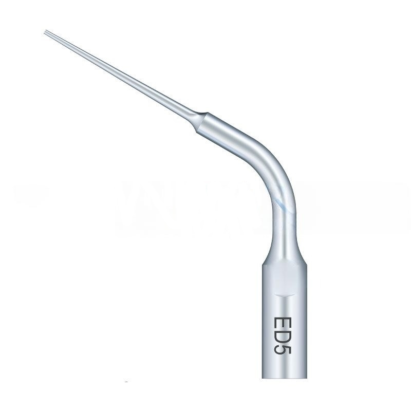 Ultrasonic tip Woodpecker ED5 compatible with Satelec | Endo