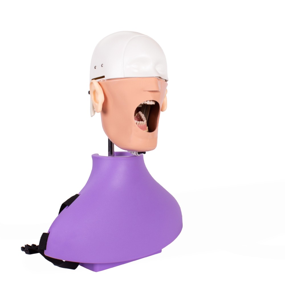 Dental Phantom Bader Complete Manikin