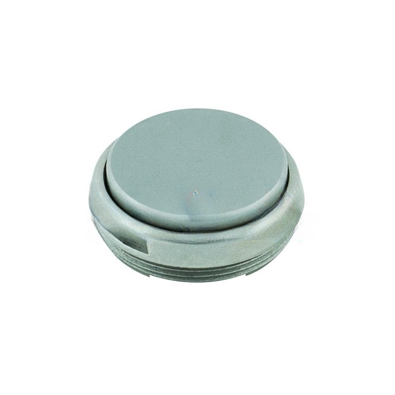 Button cover for W&H Synea TA-98 turbines (up to 2009) (2 notches)