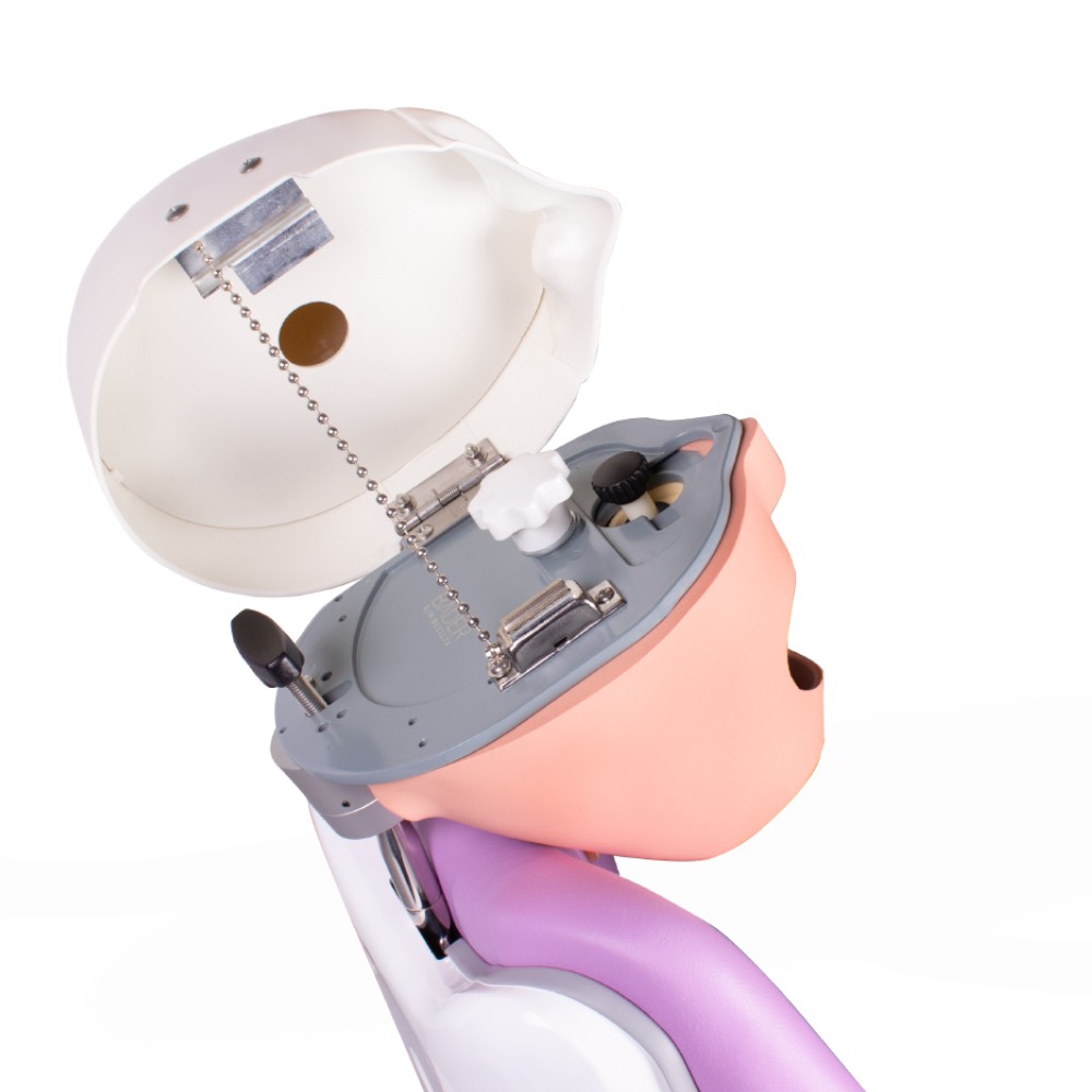Complete Bader Dental Phantom with Chair Anchoring