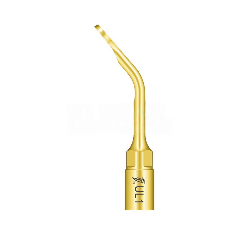 Woodpecker UL1 Surgical Tip for Mectron, Woodpecker Surgic Touch, Ultrasurgery and Others | Elevation, Sinus Membrane