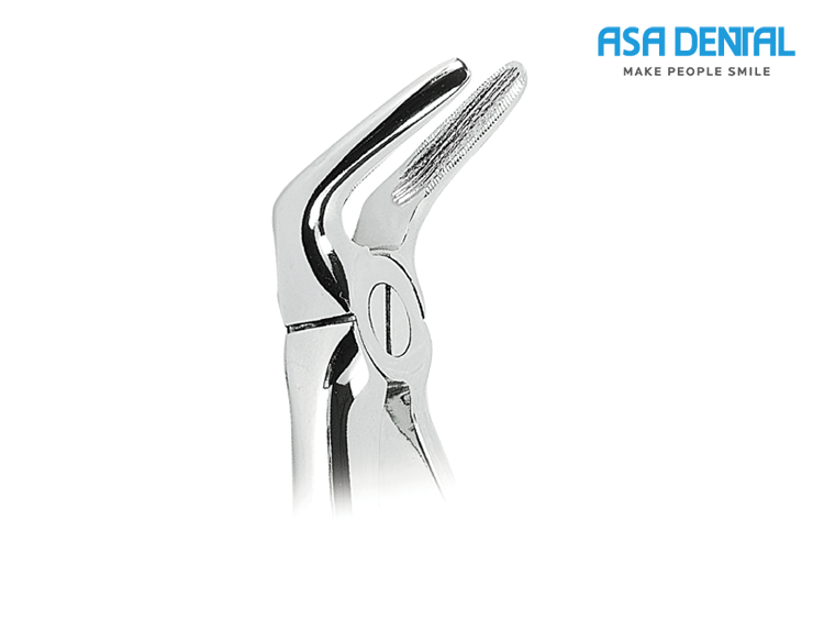 Button for Lower Roots and Incisors (0100-31)