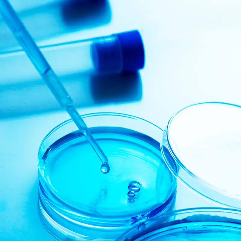 Legionella Analysis in Water for Dental Equipment Bader