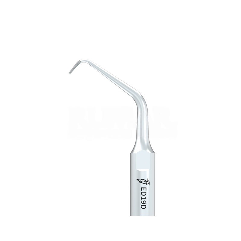 Woodpecker DTE ED19D ultrasonic tip compatible with Satelec | Endo, Diamond