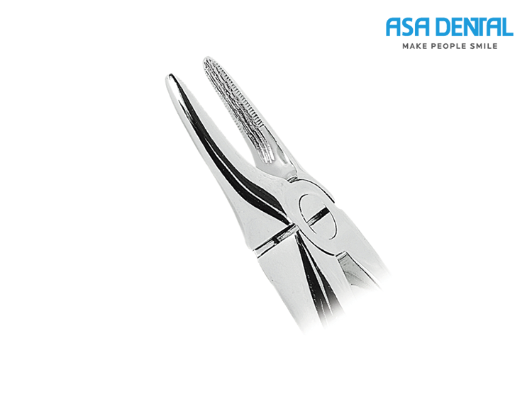 Upper root and incisor button (0100-29N)