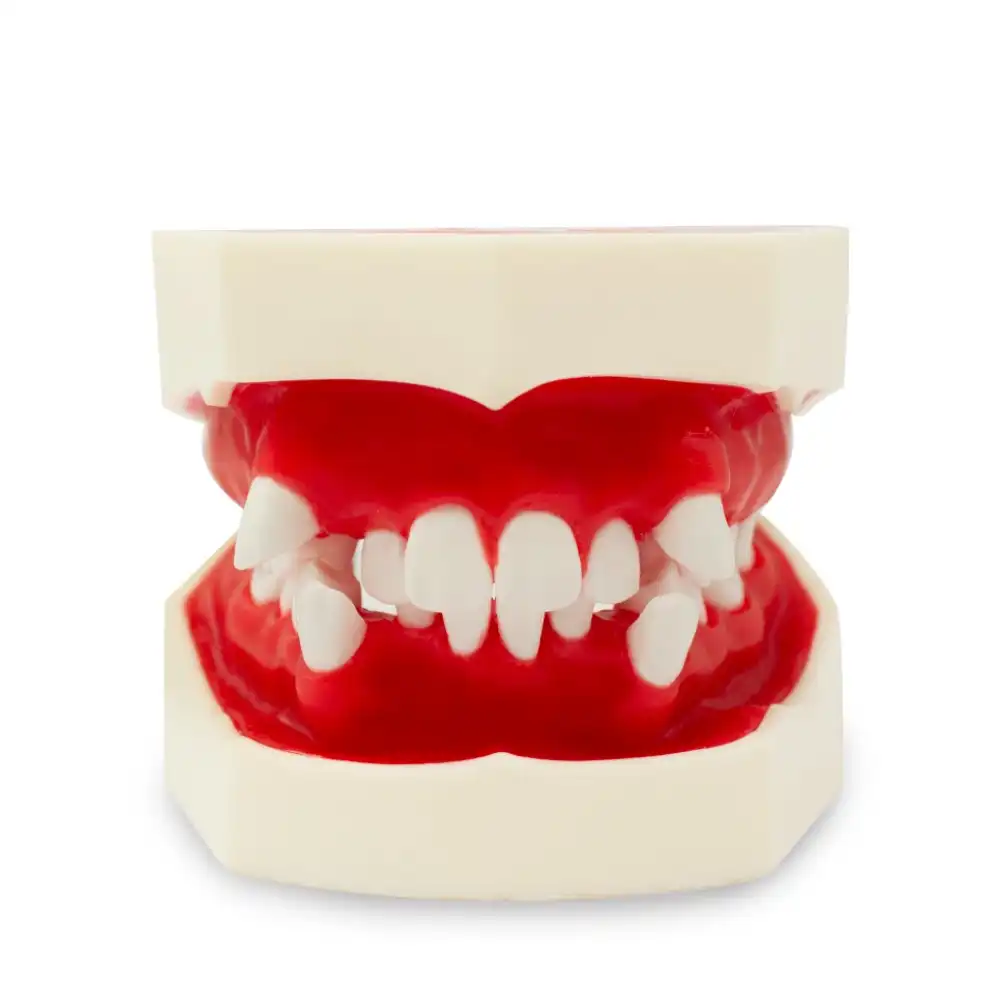 Tipodonto Cemented and Biomedical Orthodontics Bader