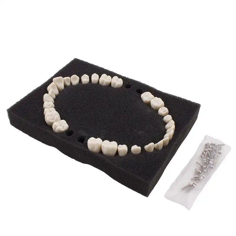Replacement teeth type Ana4 Bader