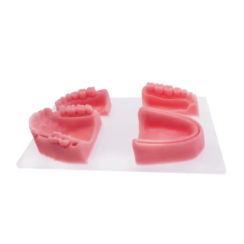 Bader Silicone Suture Practice Model