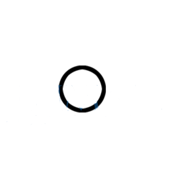 Large O-ring for NSK coupling system – SP0412NT