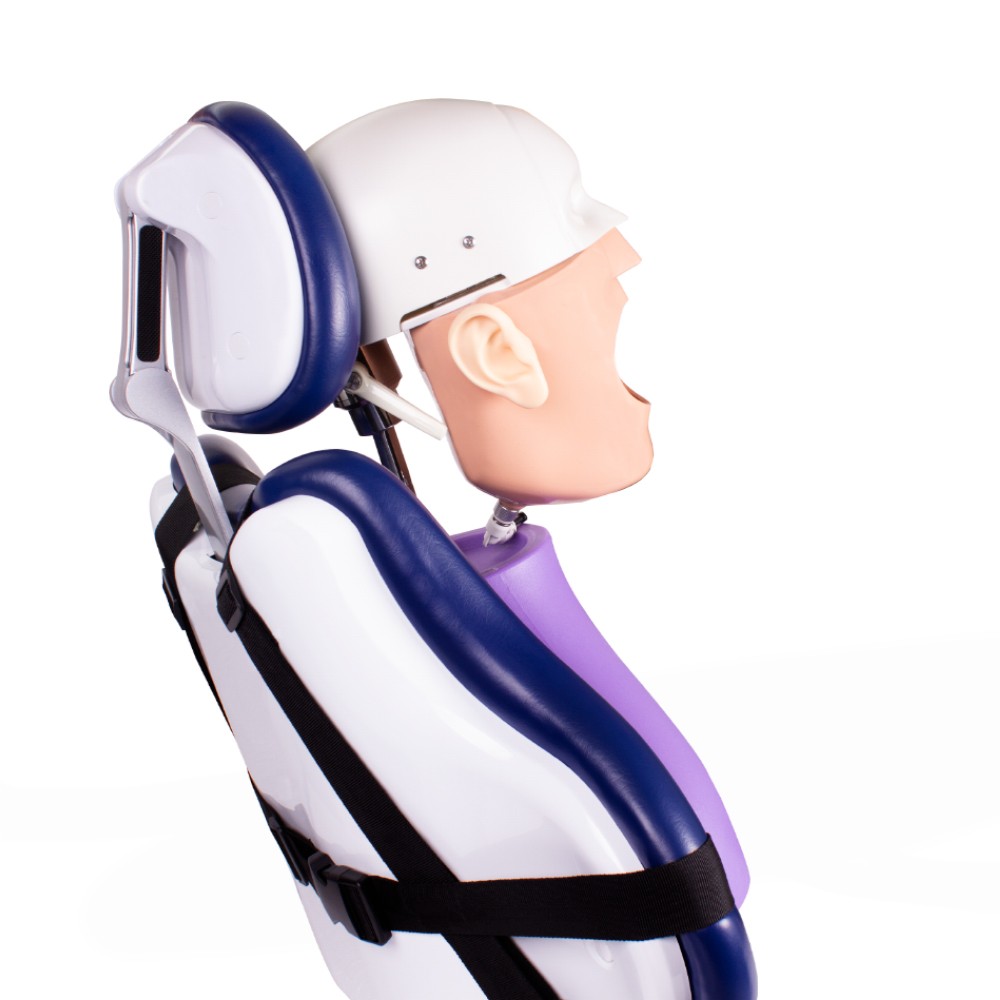 Dental Phantom Bader Complete Manikin