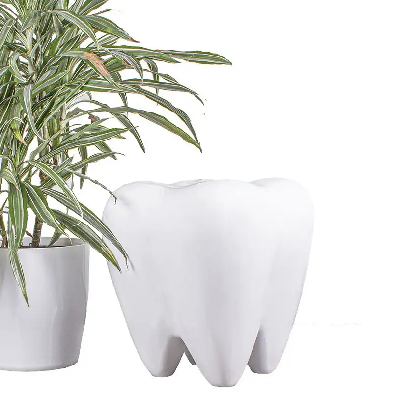 Molar Stool Bader