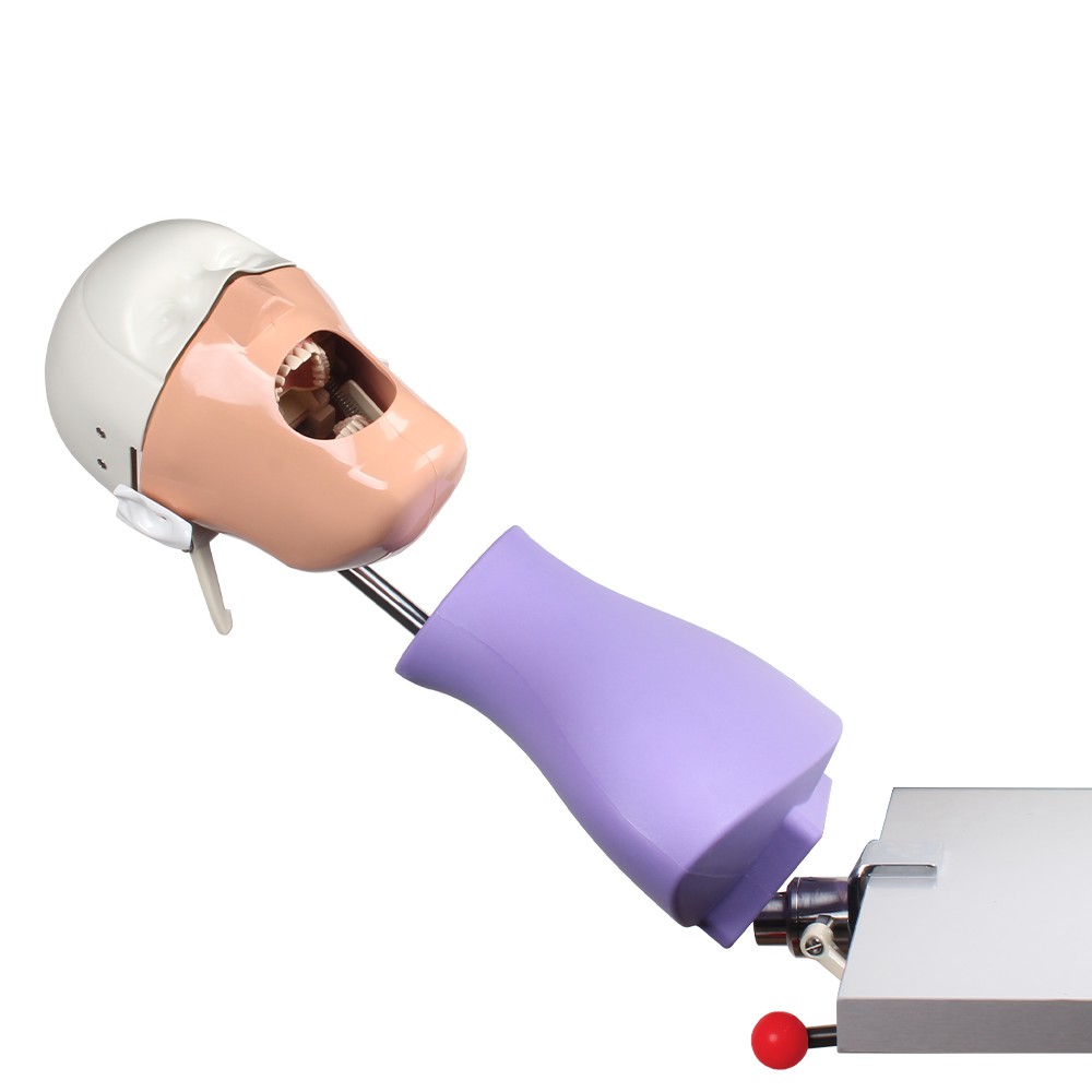 Practice Manikin with Table Anchor Bader