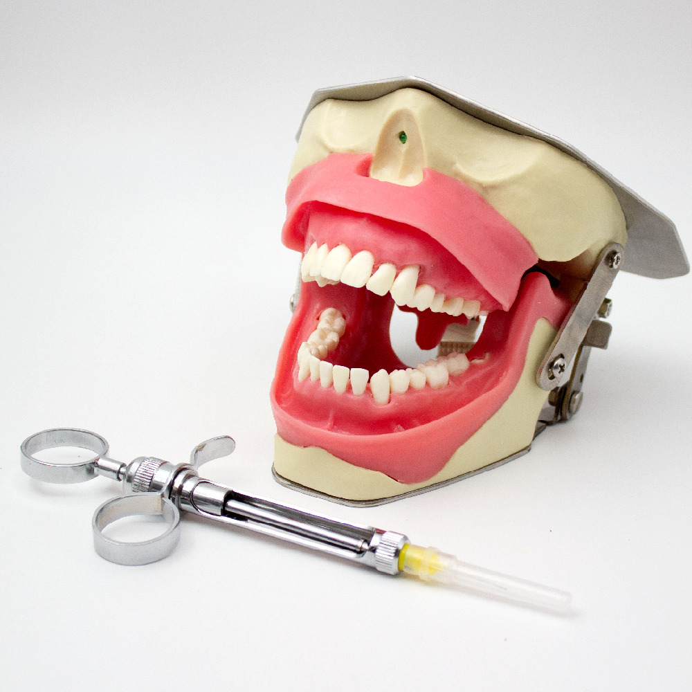 Dental Anesthesia Simulator Bader
