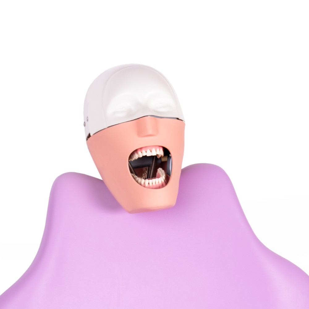 Complete Bader Dental Phantom with Chair Anchoring