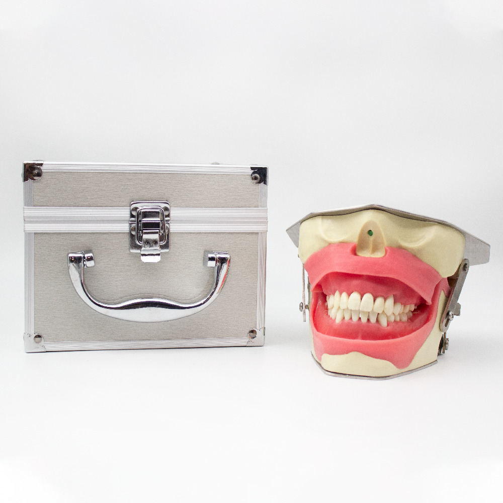 Dental Anesthesia Simulator Bader