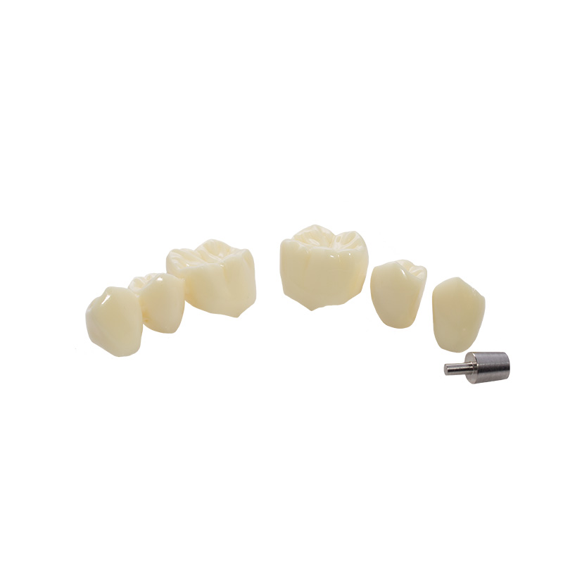 Bader implant demonstration model
