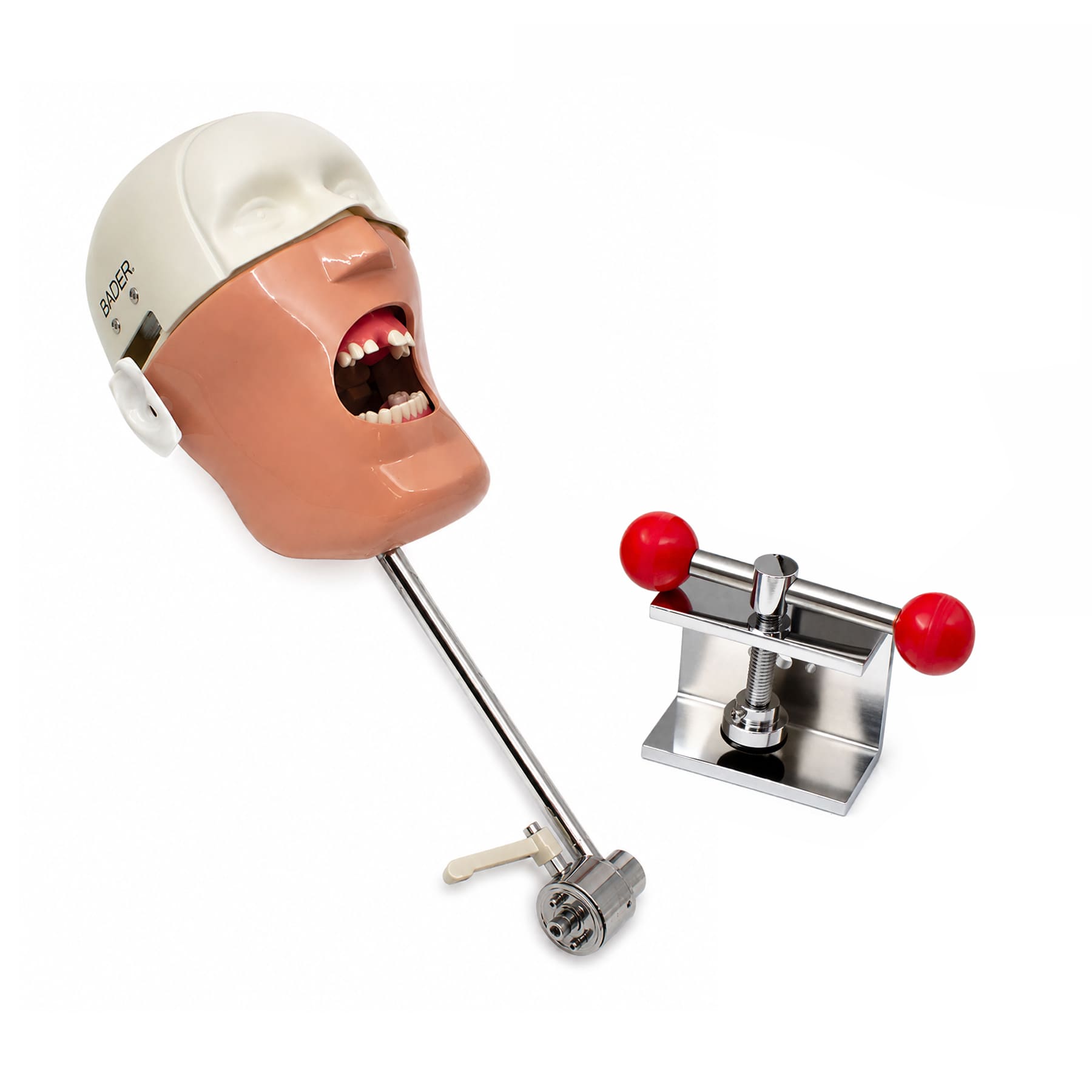 Kim Phantom for Bone Regeneration Practice