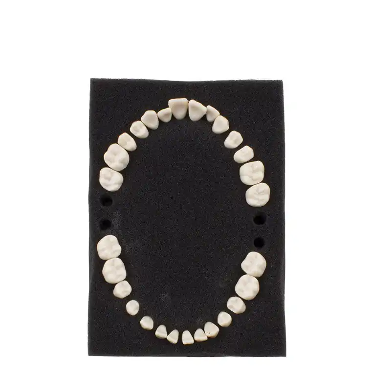 Replacement teeth type Ana4 Bader