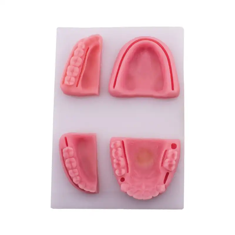 Bader Silicone Suture Practice Model