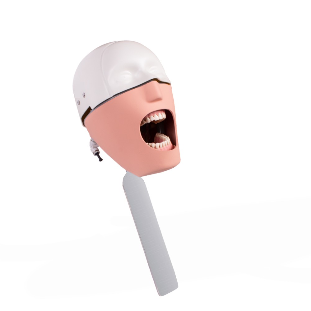 Complete Bader Dental Phantom with Chair Anchoring