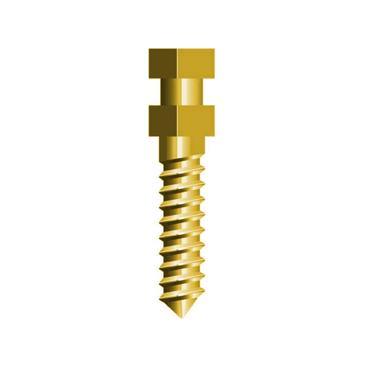 Gold plated – Gold conical tips – Refill – S3