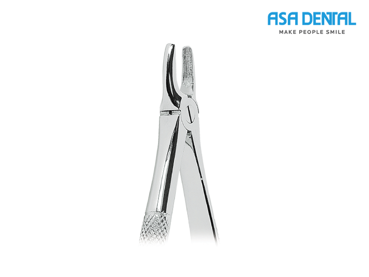 Button for upper incisors and canines (0100-2)