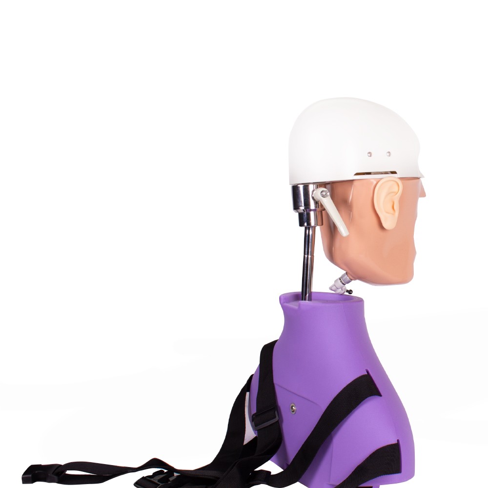 Dental Phantom Bader Complete Manikin