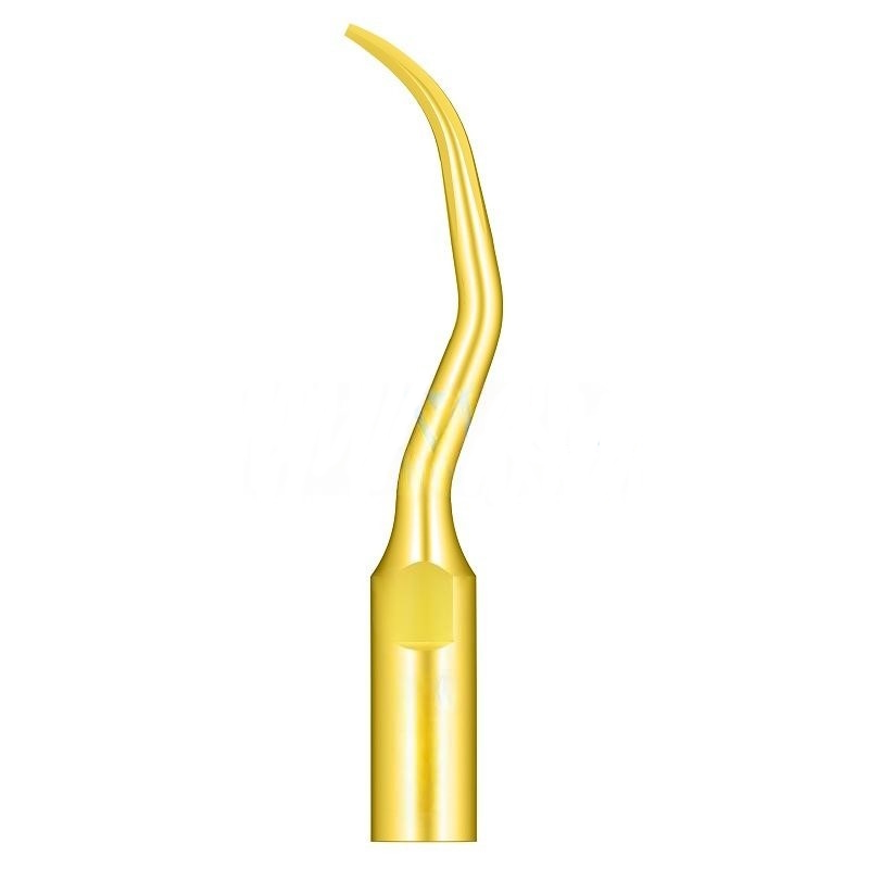 Woodpecker GD10T Ultrasonic Tip Compatible Satelec | Prophylaxis Titanium Treatment
